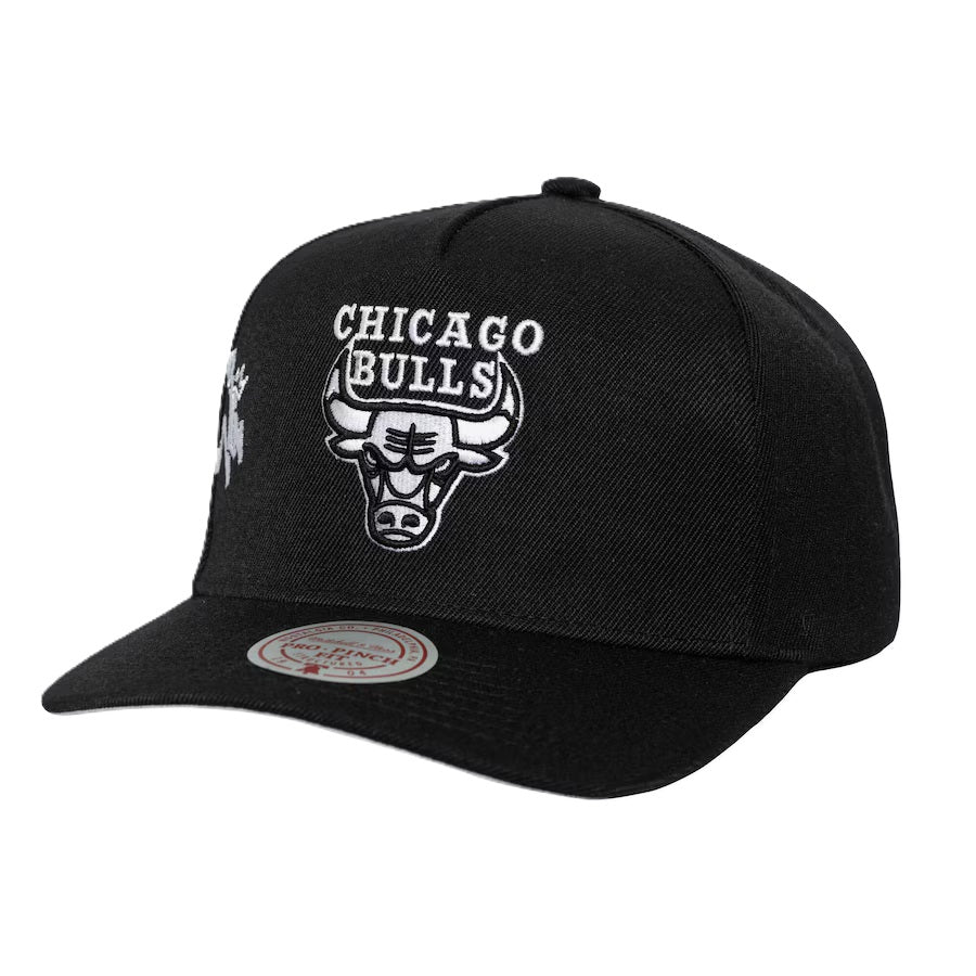 NBA BORN TO WIN PRO SNAPBACK - CHICAGO BULLS