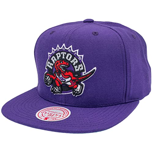 NBA TEAM GROUND 2.0 SNAPBACK - TORONTO RAPTORS