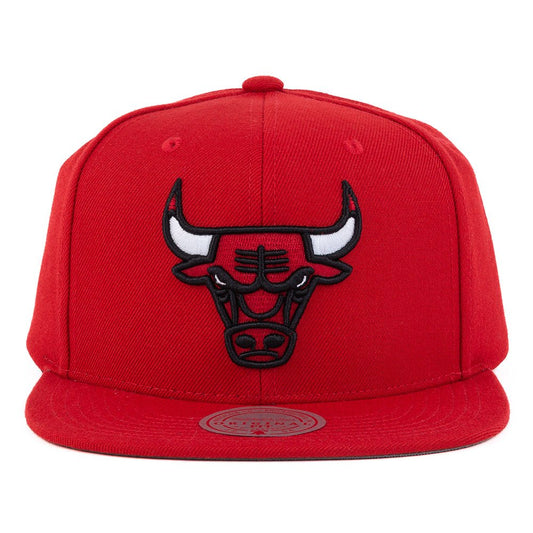 Team Ground 2.0 Snapback - CHICAGO BULLS