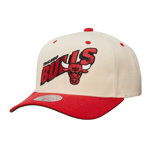 NBA RETRO TYPE PRO SNAPBACK - CHICAGO BULLS