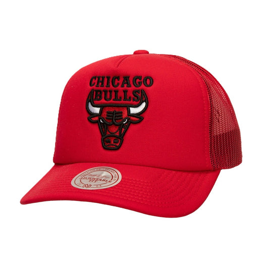 NBA EVERGREEN TRUCKER - CHICAGO BULLS